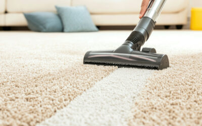 Built-In Vacuum vs. Portable Vacuum Cleaner